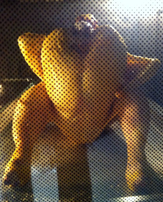 pollo a la botella en el horno